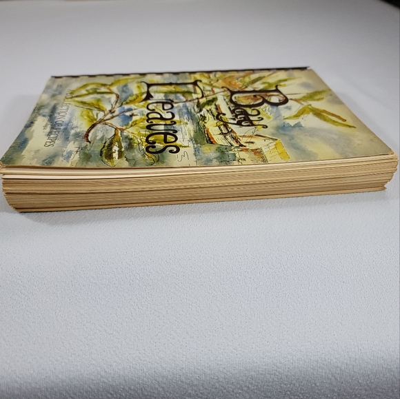 Bay Leaves A Collection Of Recipes - Junior Service League Panama City Florida - Picture 11 of 16